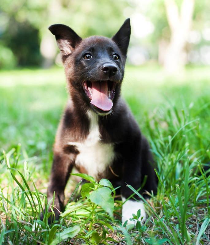 Смотрели "Люди в черном"? Агент Джей спешит спасти вас от серых будней