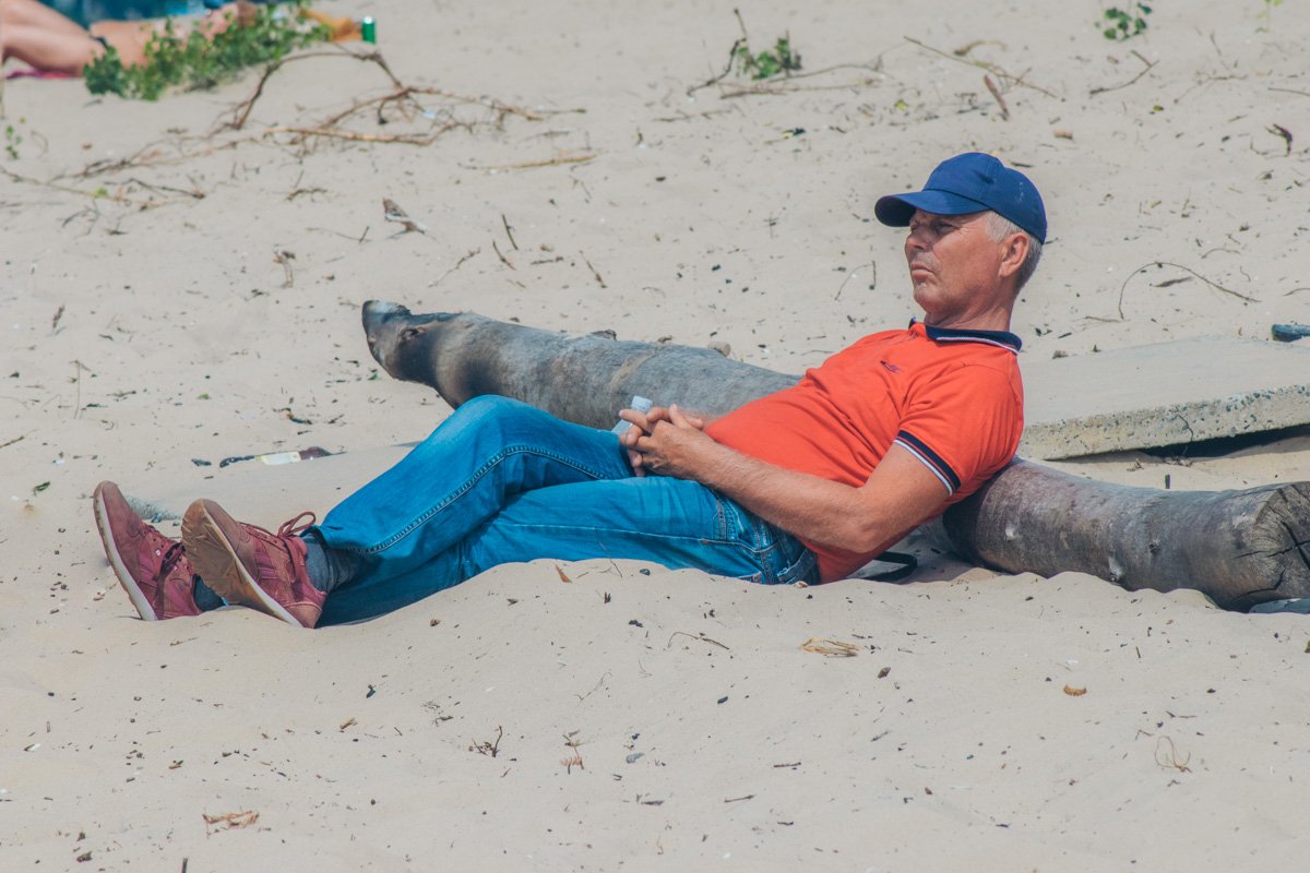 На пляжах всегда есть на что посмотреть На пляжах всегда есть на что посмотреть