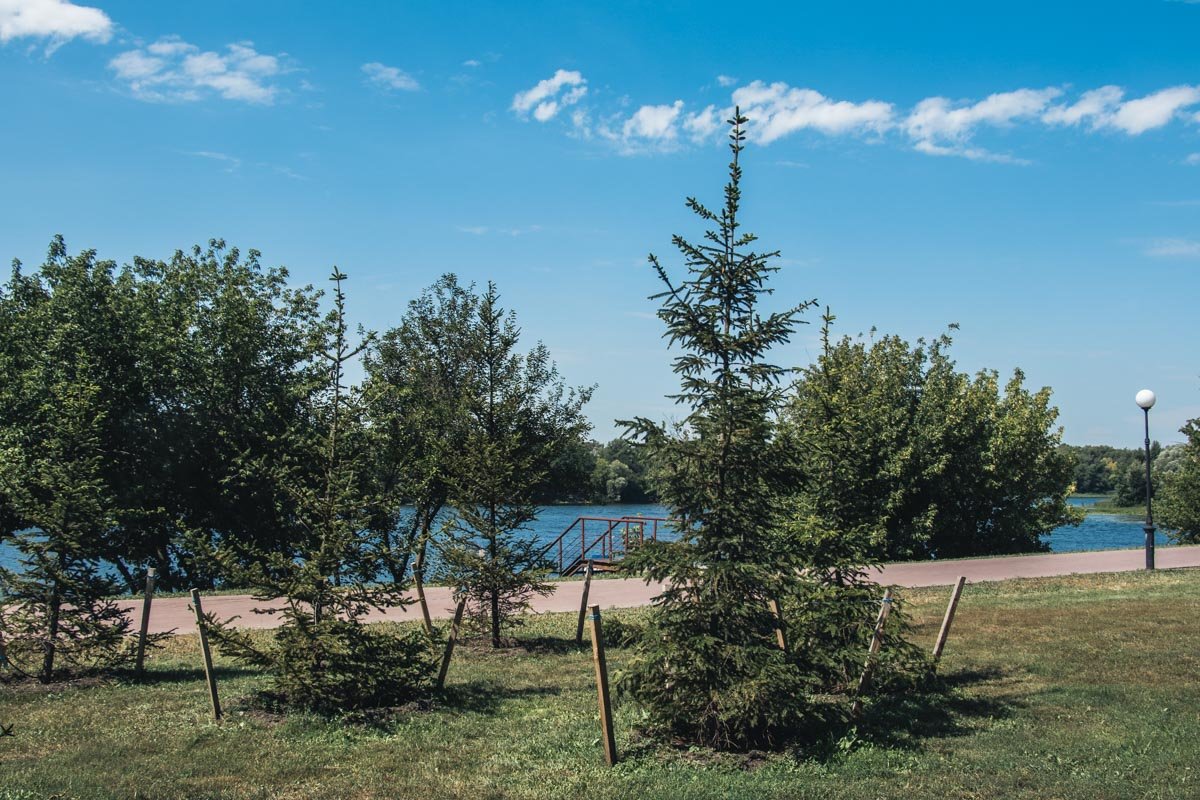 В обновленном парке обустроили 3,4 гектара газона 