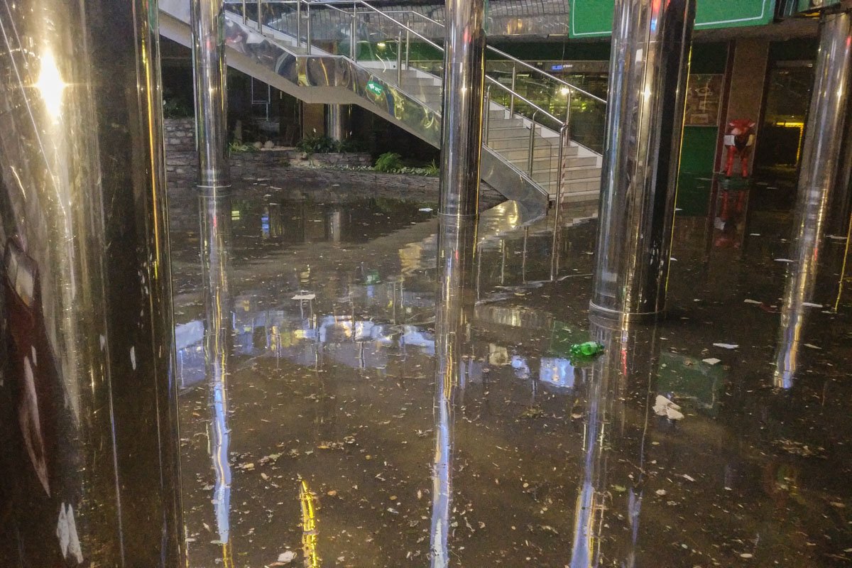 В воде плавает мусор и листья