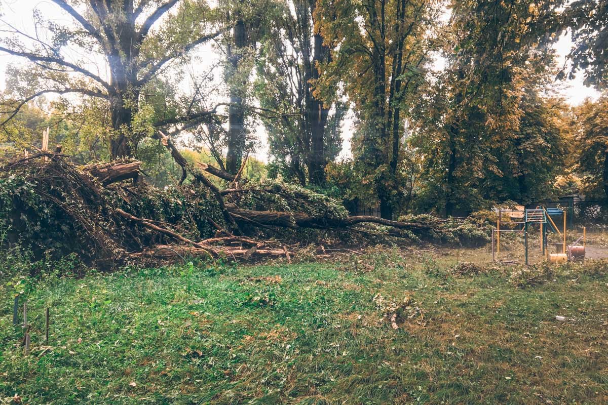 Недалеко от станции метро "Шулявская" 