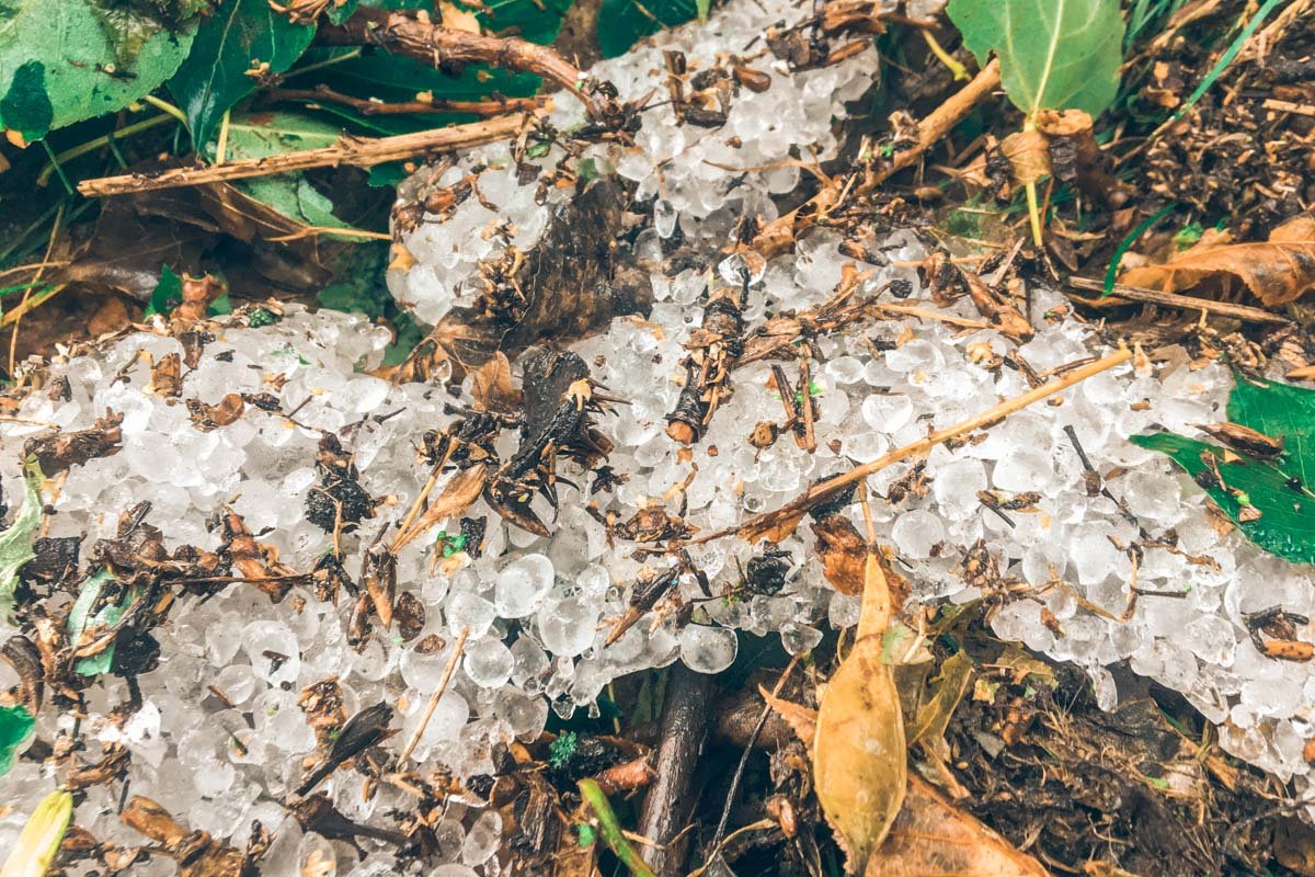 Вот такой вот град прошелся по Киеву