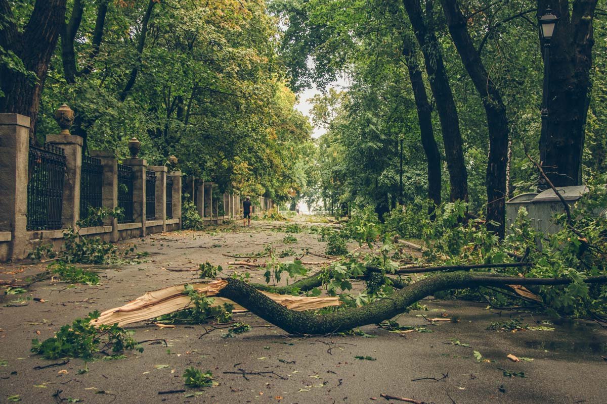 Грустное зрелище