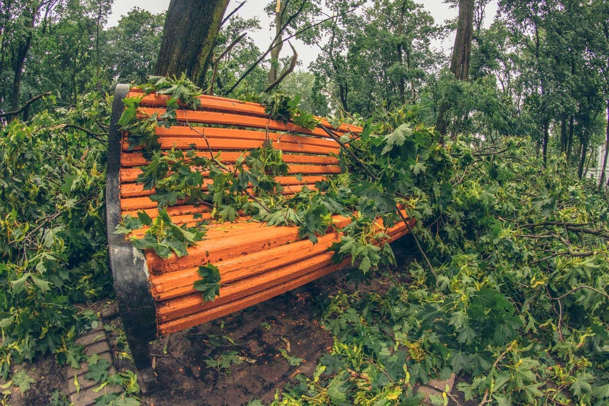 Не присесть