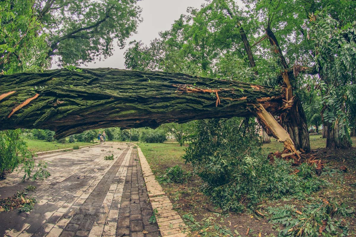 ... и не пройти