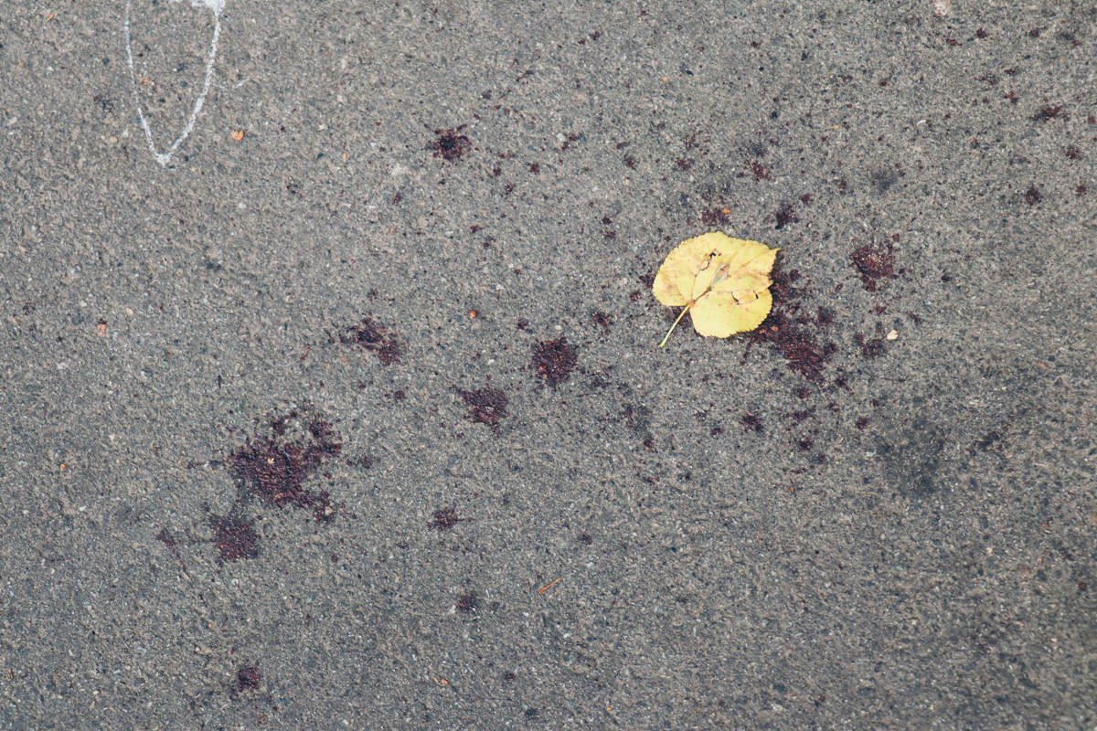 Байкер несколько раз выстрелил в водителя маршрутки Байкер несколько раз выстрелил в водителя маршрутки