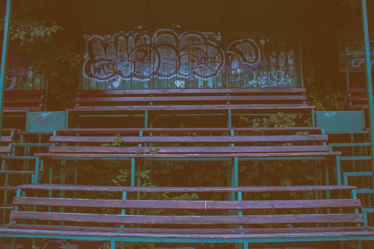 С трибун снова будут слышны восторженные крики тысяч болельщиков