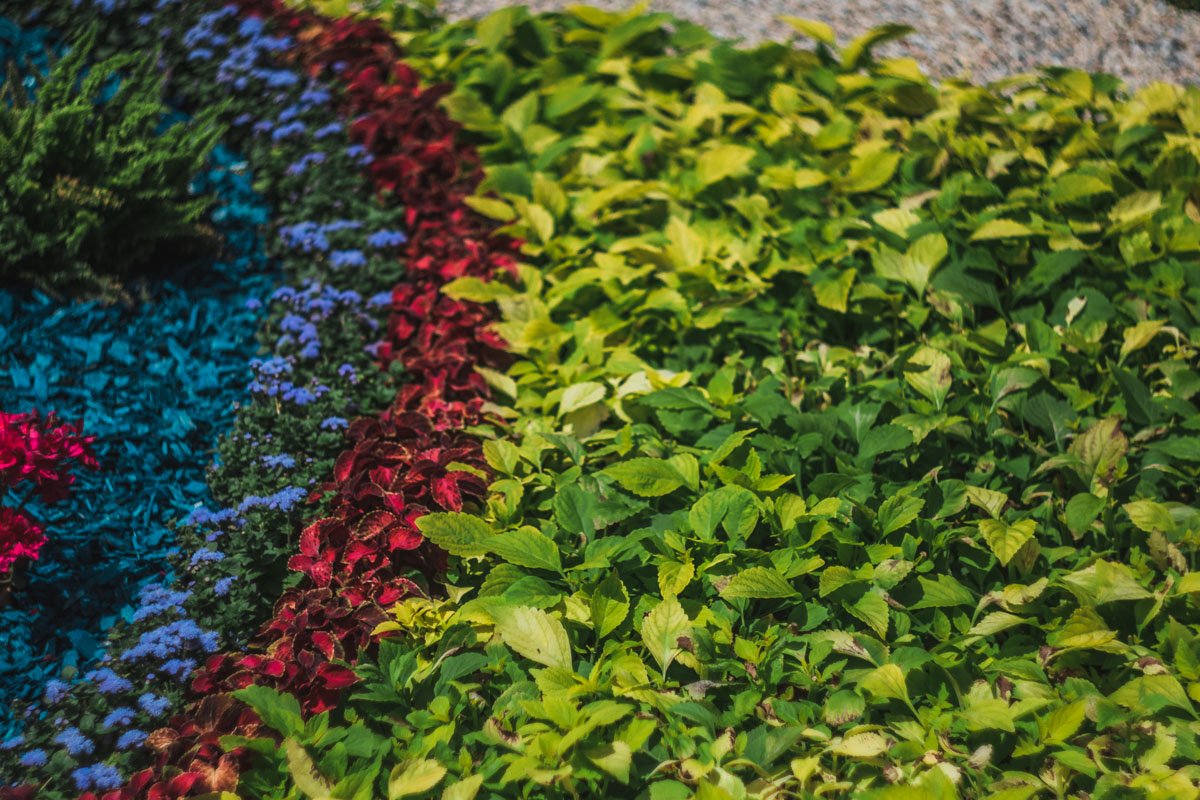 Вот бы домой такой ковер