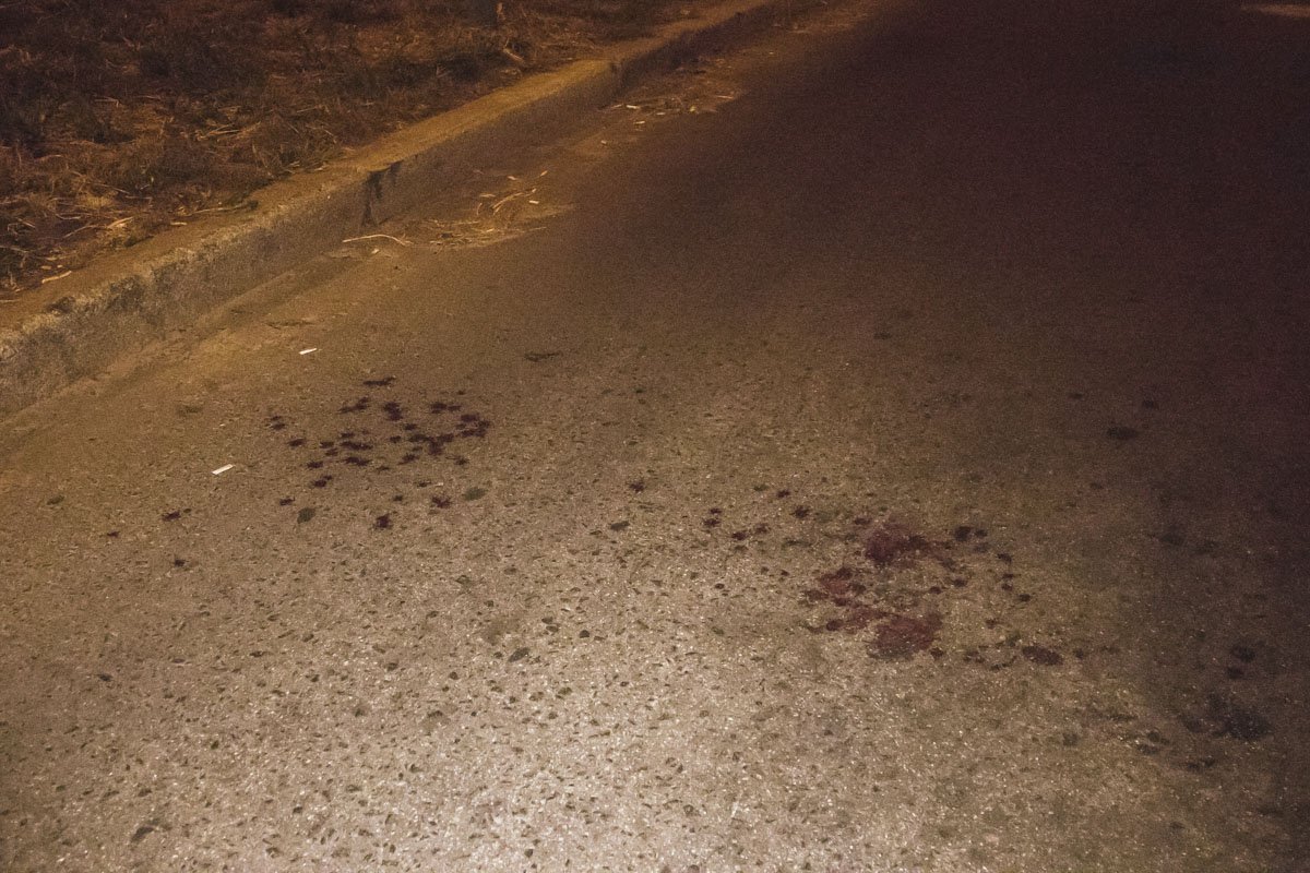 Парней задержали сотрудники охранной фирмы "Сириус".