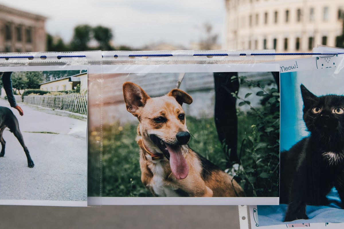 Они ищут дом Они ищут дом