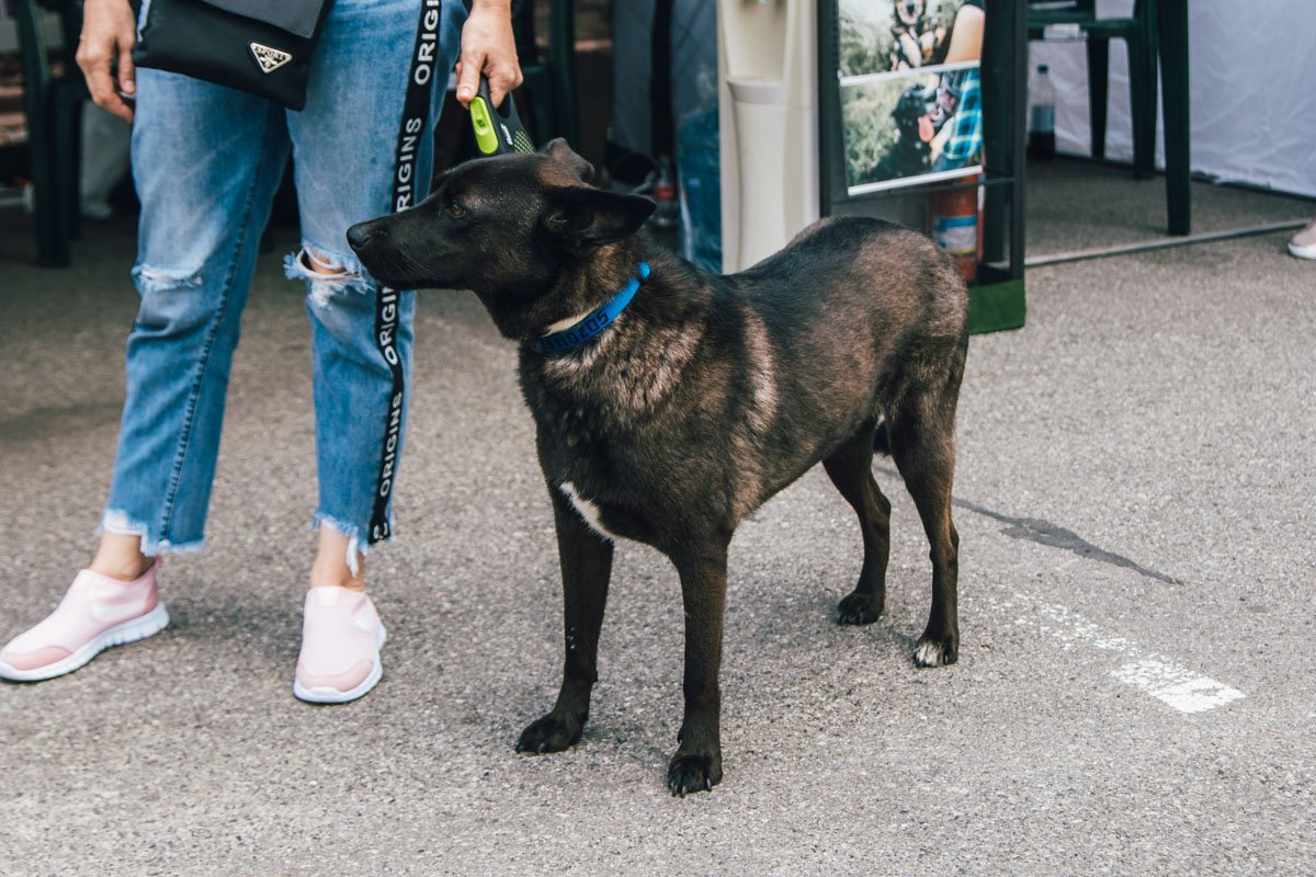 Друзья всегда рядом Друзья всегда рядом