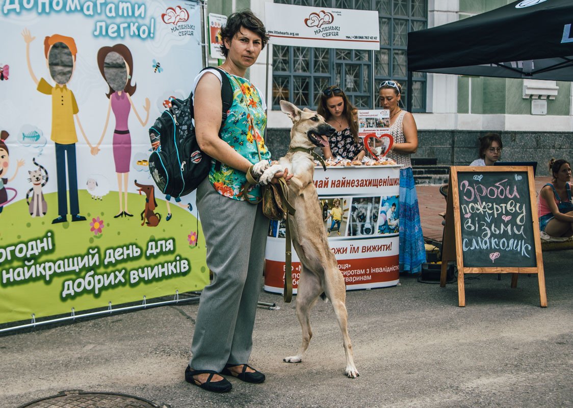 Если вы хотите взять Масю домой, звоните волонтерам по номеру (096)-293-86-52 Если вы хотите взять Масю домой, звоните волонтерам по номеру (096)-293-86-52