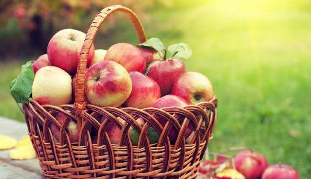 19 августа в Украине отмечают Яблочный спас 