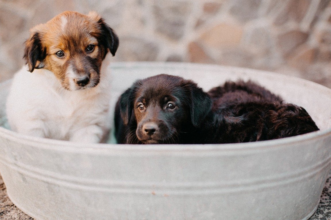 Они такие разные, но одинаково хотят любви Они такие разные, но одинаково хотят любви
