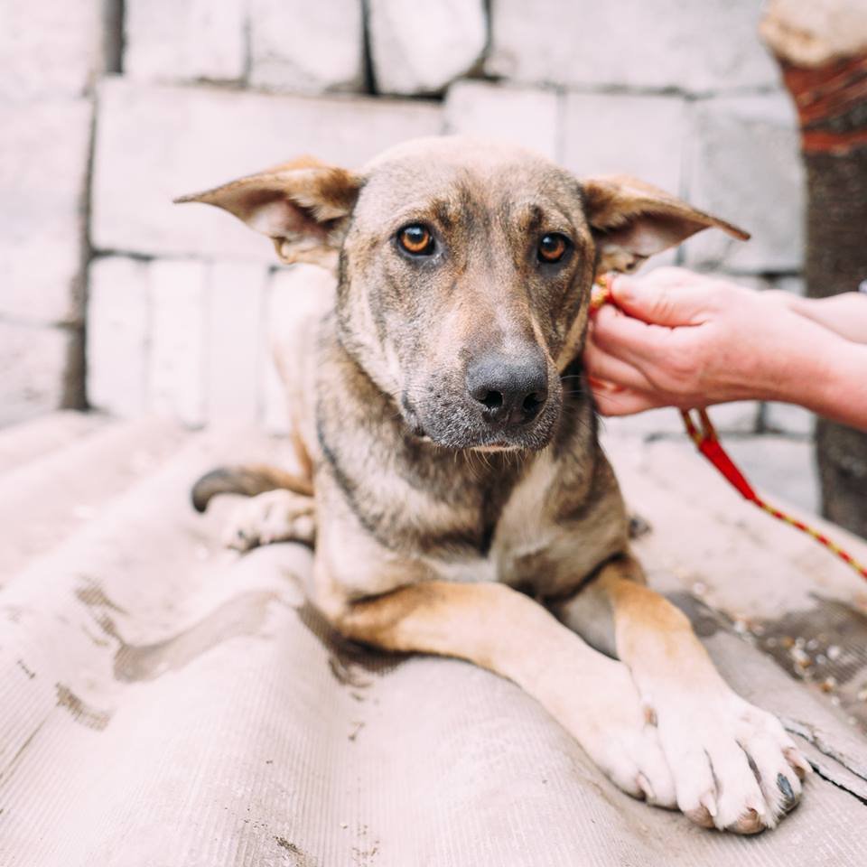 У Вари добрые глаза, глядя в которые. можно утонуть в добрых эмоциях У Вари добрые глаза, глядя в которые. можно утонуть в добрых эмоциях