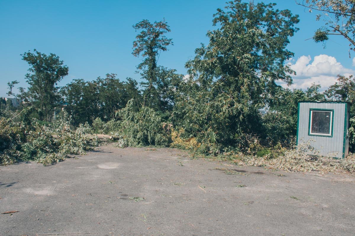 Территория площадью 3,23 гектара принадлежит городу, однако была сдана в аренду в 2007 году ООО "Бора" сроком до 2022 года
