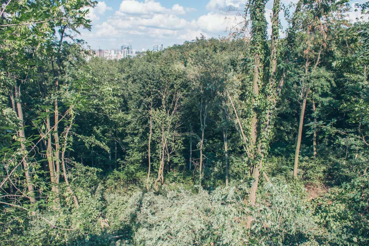 В генплане эта территория - зеленая зона