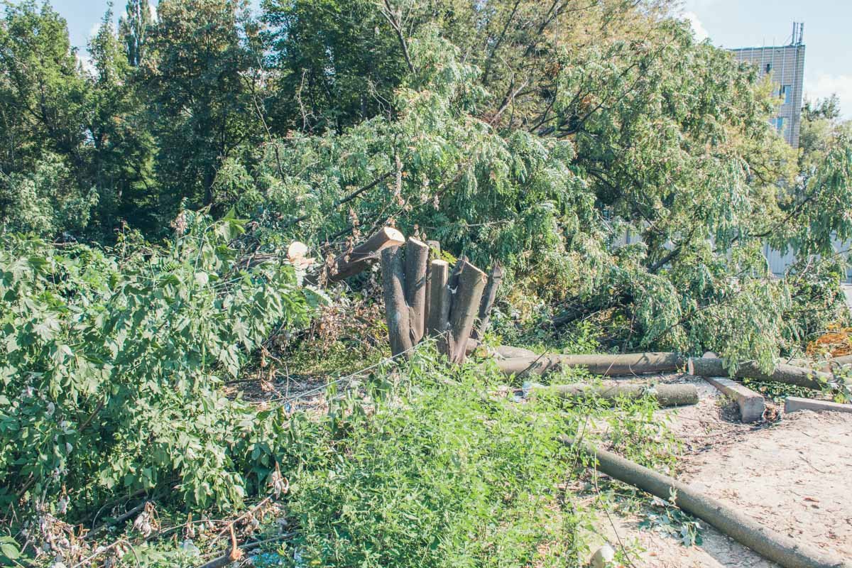 застройщик получил карту на временное нарушение благоустройства