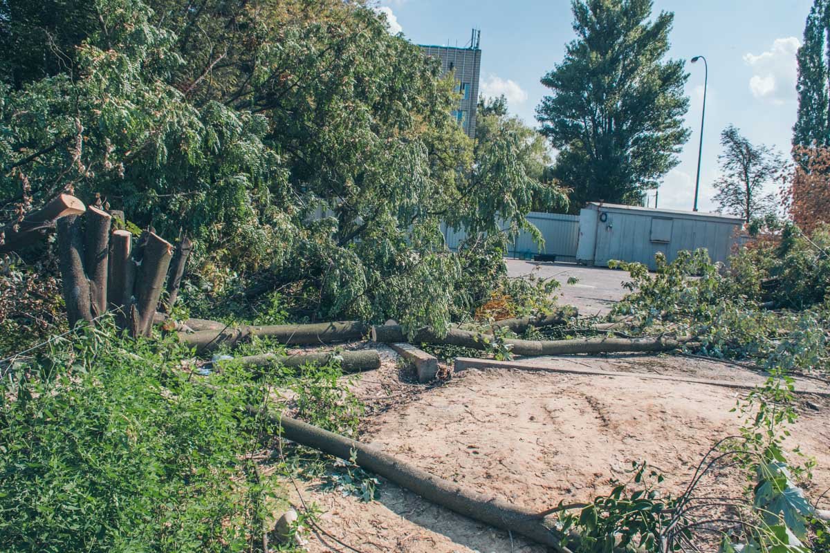 Территорию оградили забором