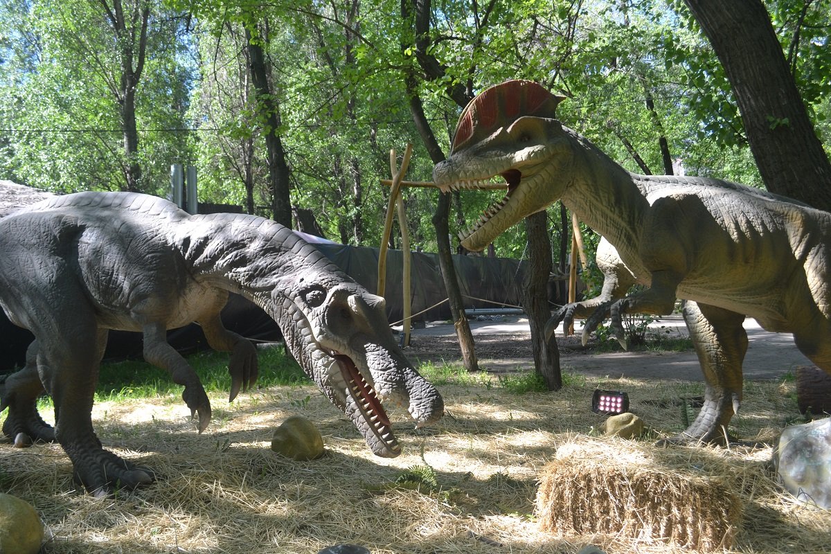 На ВДНГ откроется выставки «Живые Динозавры» На ВДНГ откроется выставки «Живые Динозавры»