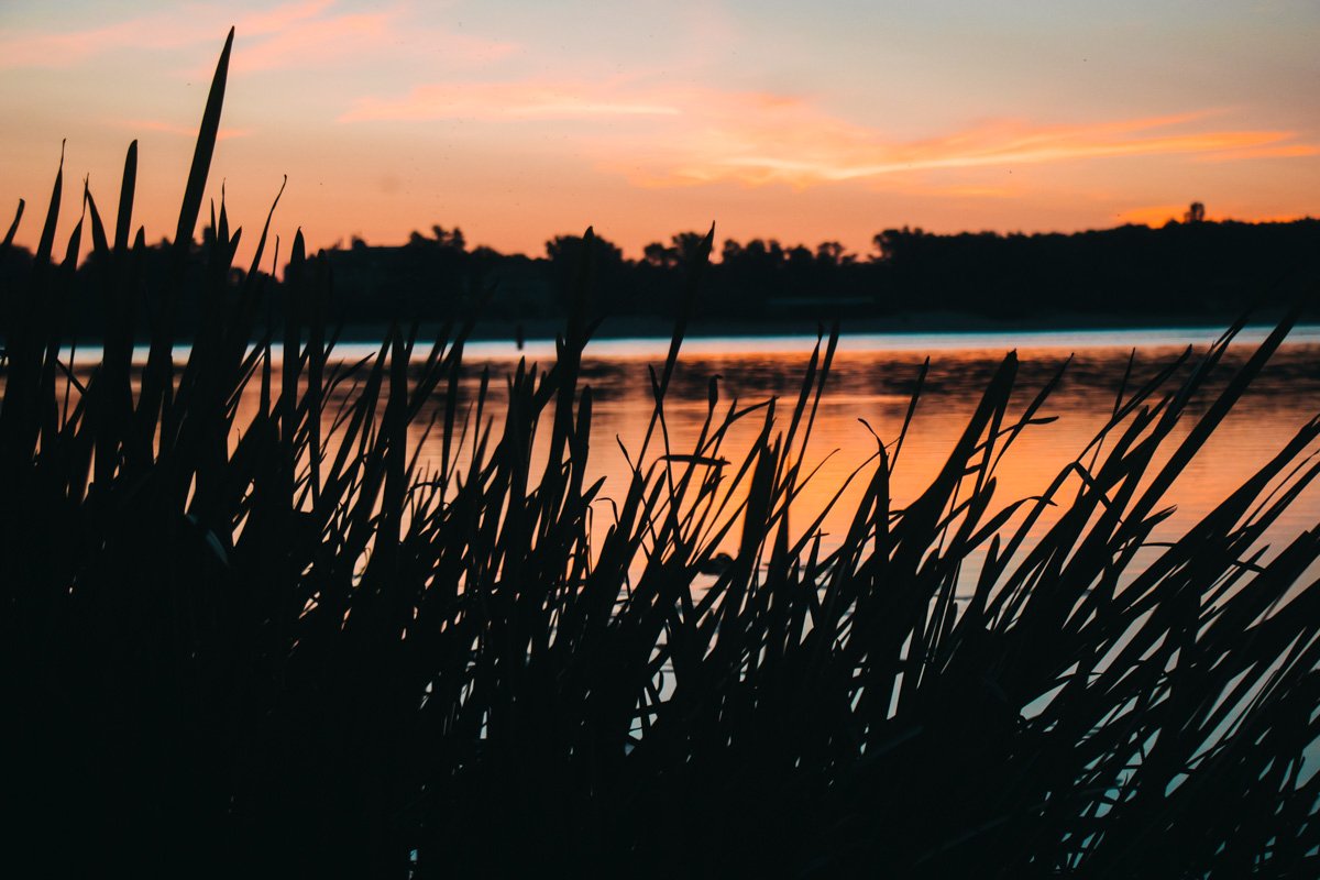 Красота природы поражает