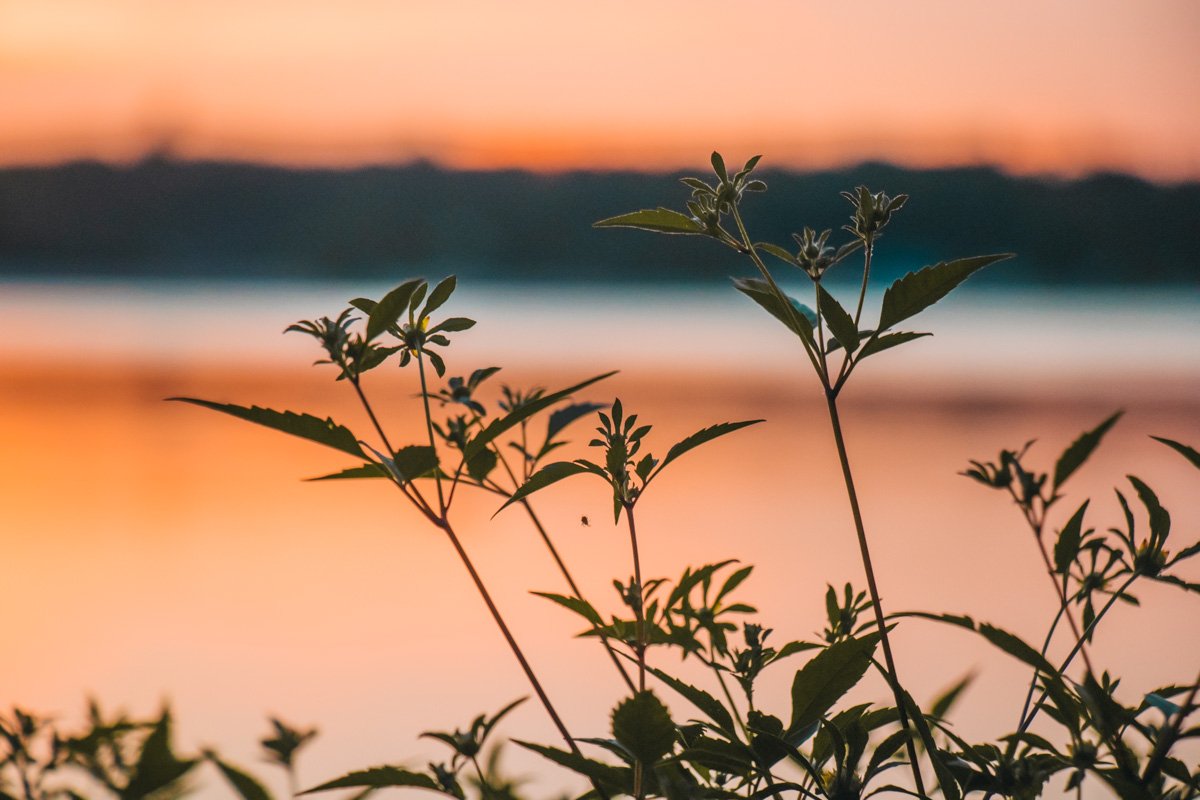 Природа уже проснулась