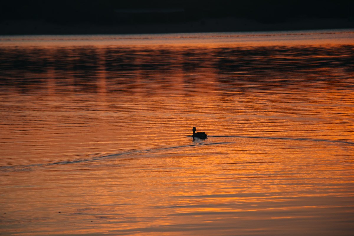 Красивые воды Днепра под встающим солнцем