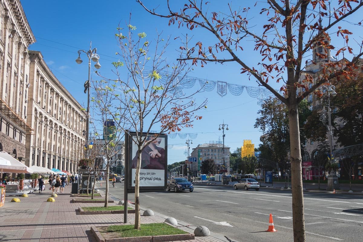 Природную аномалию киевляне замечают не первый год