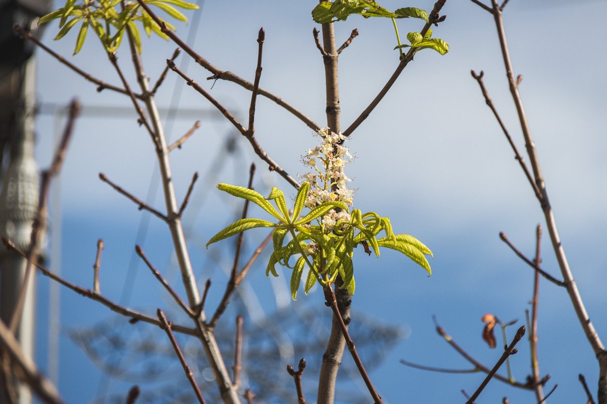 Весна в конце лета
