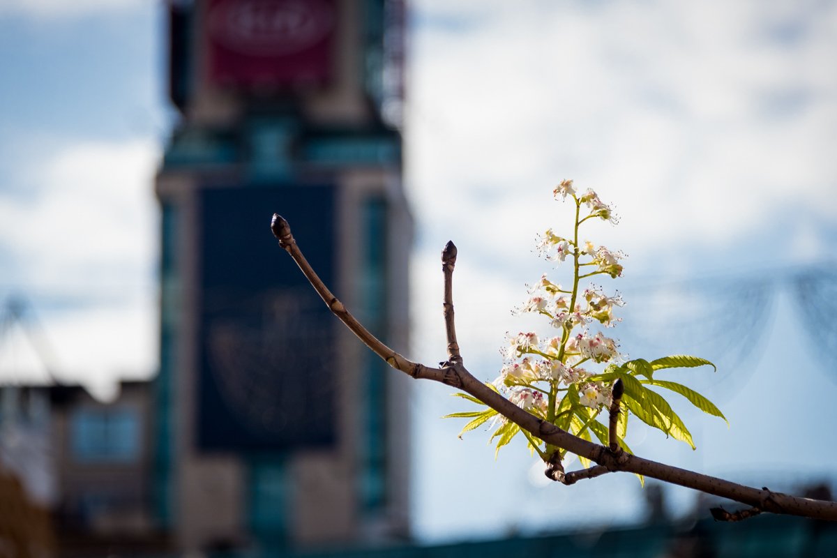 Подарок жителям Киева ко Дню Независимости