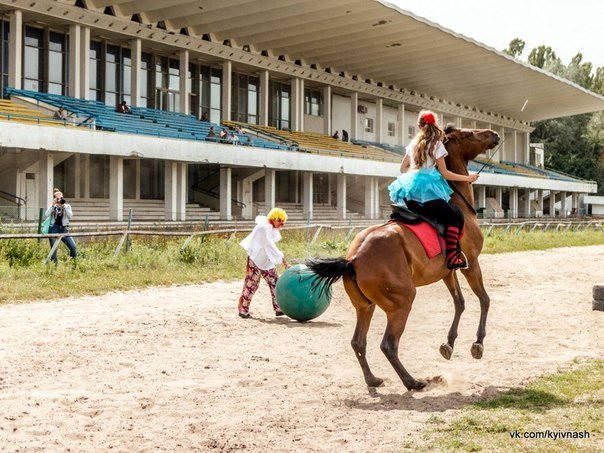 Киевский ипподром приглашает на праздничную программу ко Дню Независимости Украины Киевский ипподром приглашает на праздничную программу ко Дню Независимости Украины