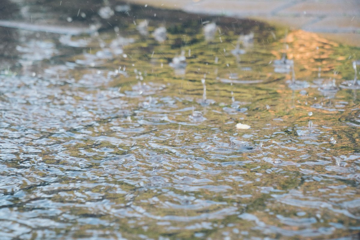 Ненавязчивый шум воды из фонтанчика легко успокоит ваши нервы и подарит ощущения спокойствия 