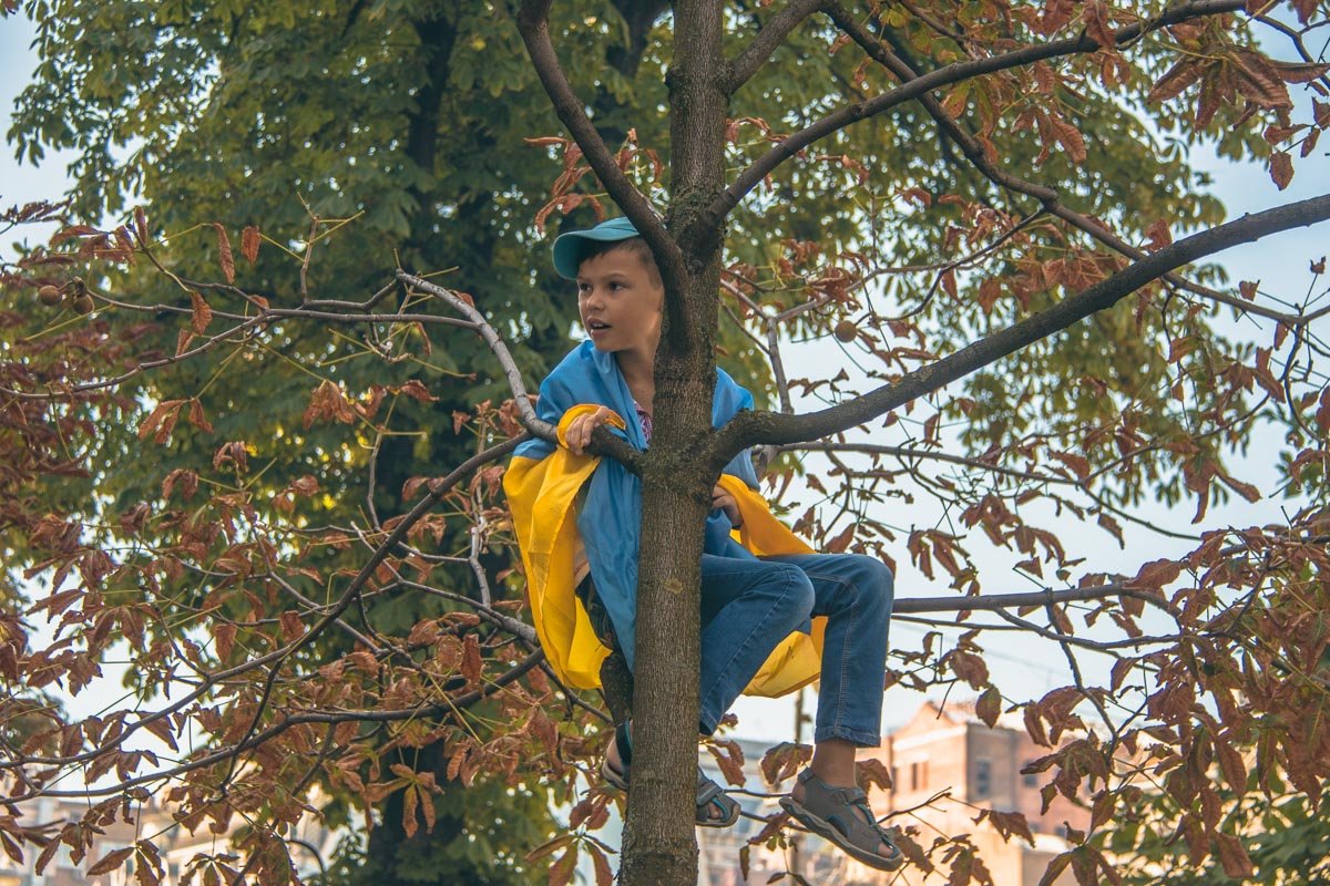 Бесстрашный патриот на дереве