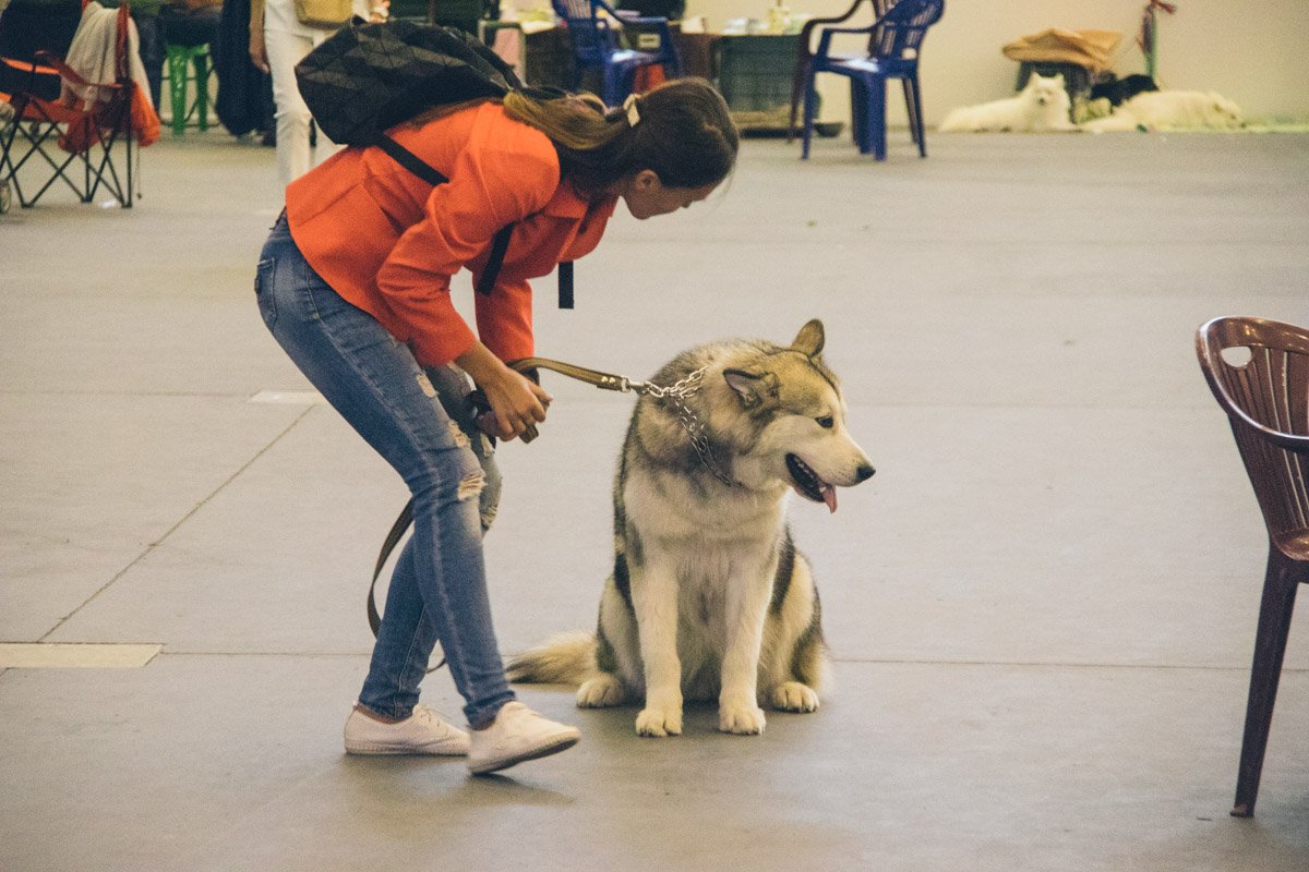 Некоторые участники к концу чемпионата немного устали Некоторые участники к концу чемпионата немного устали