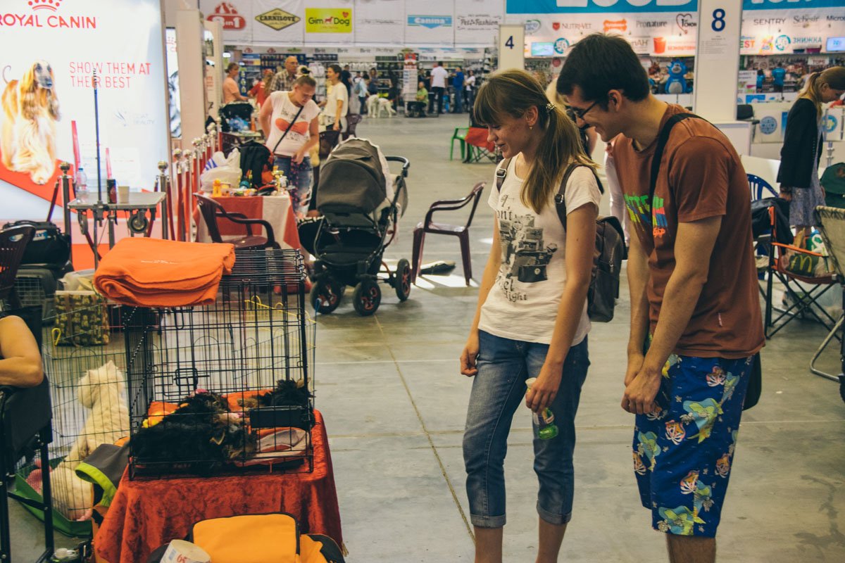 Милота... Милота...