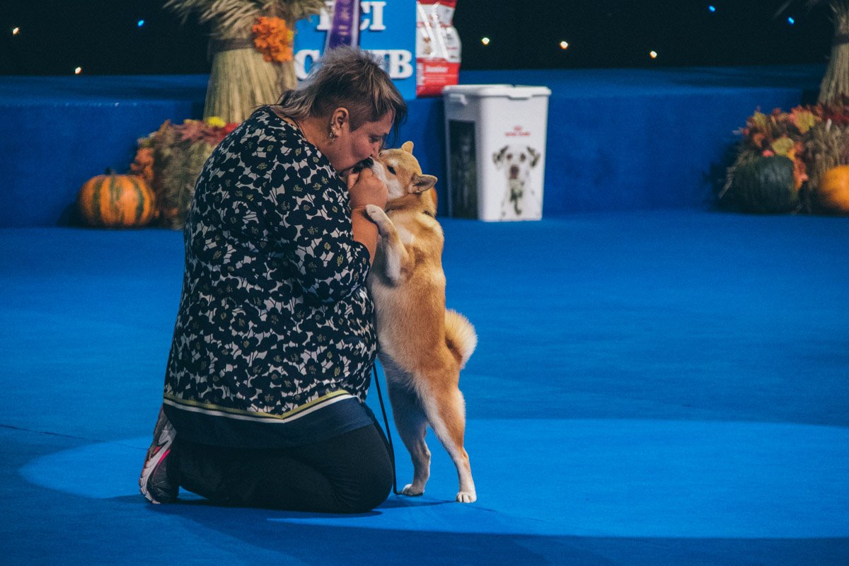 Настоящая любовь Настоящая любовь