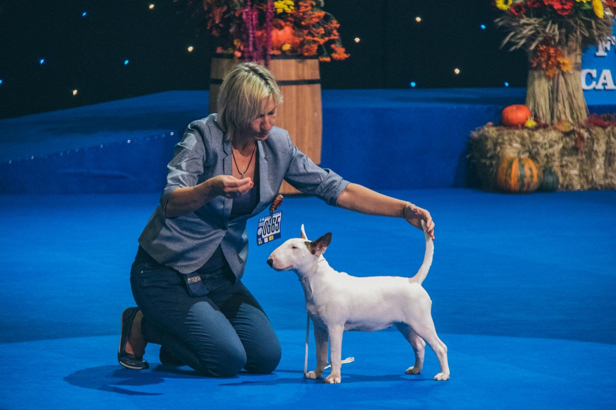 Участникам конкурса нравится внимание Участникам конкурса нравится внимание