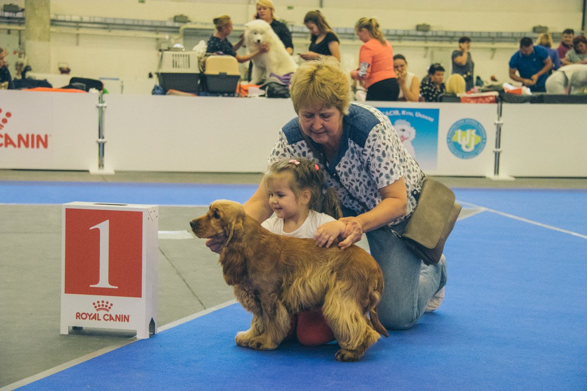 Дети обожают играть с животными Дети обожают играть с животными