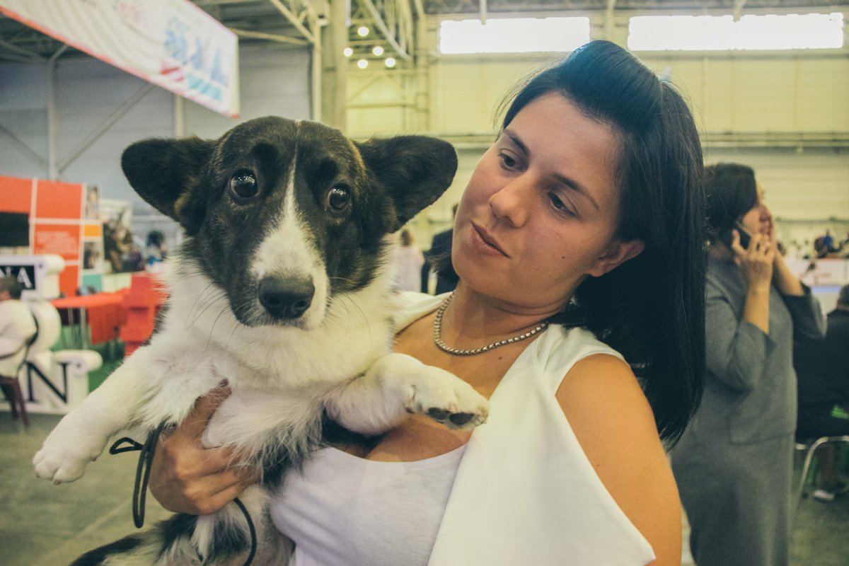 Иногда питомцы и хозяева немного похожи Иногда питомцы и хозяева немного похожи