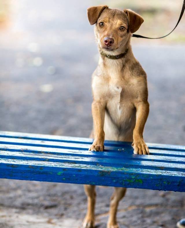 Эти искренние глазки ищут любящую семью 