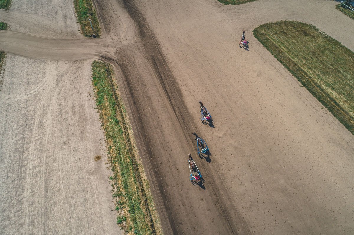 В воскресенье, 26 августа, в Киеве на ипподроме прошли конные гонки
