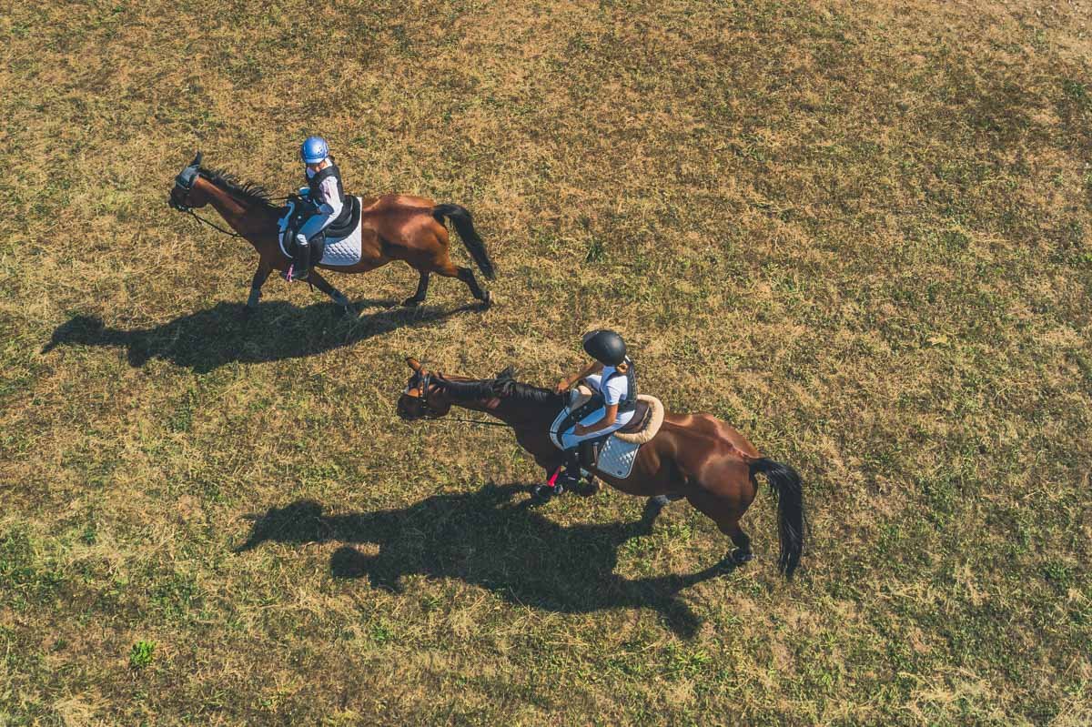По программе прошли заезды лошадей рысистых пород, выступления по конкуру и джигитировке