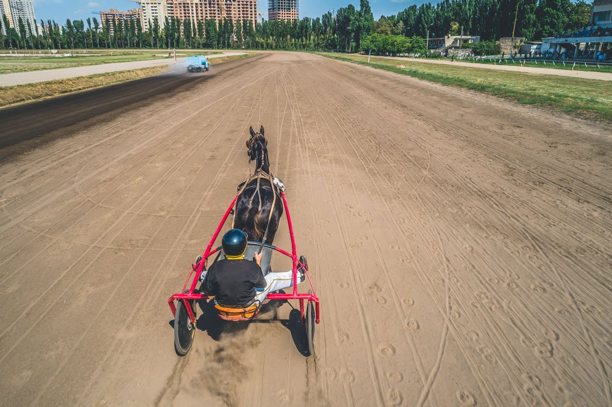 Следующие такие скачки пройдут в столице в воскресенье, 2 сентября, в 13:00