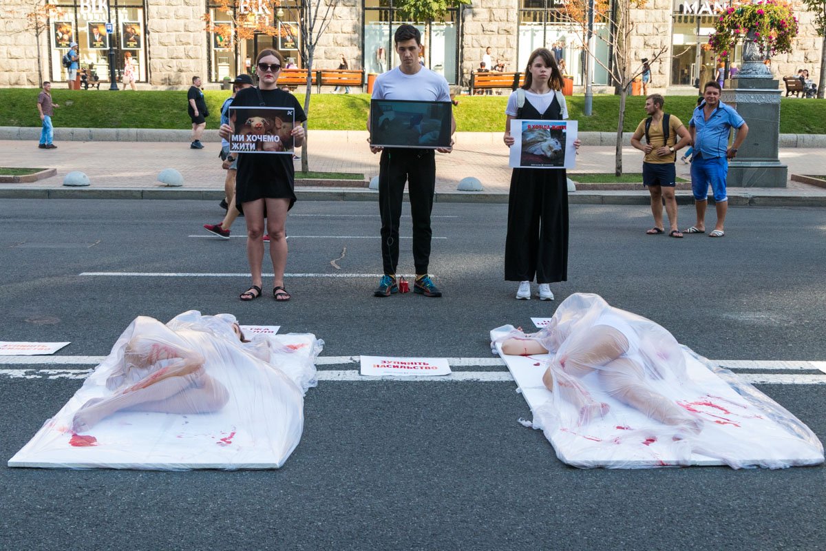 26 августа в Киеве на Крещатике прошла акция видовизма 26 августа в Киеве на Крещатике прошла акция видовизма