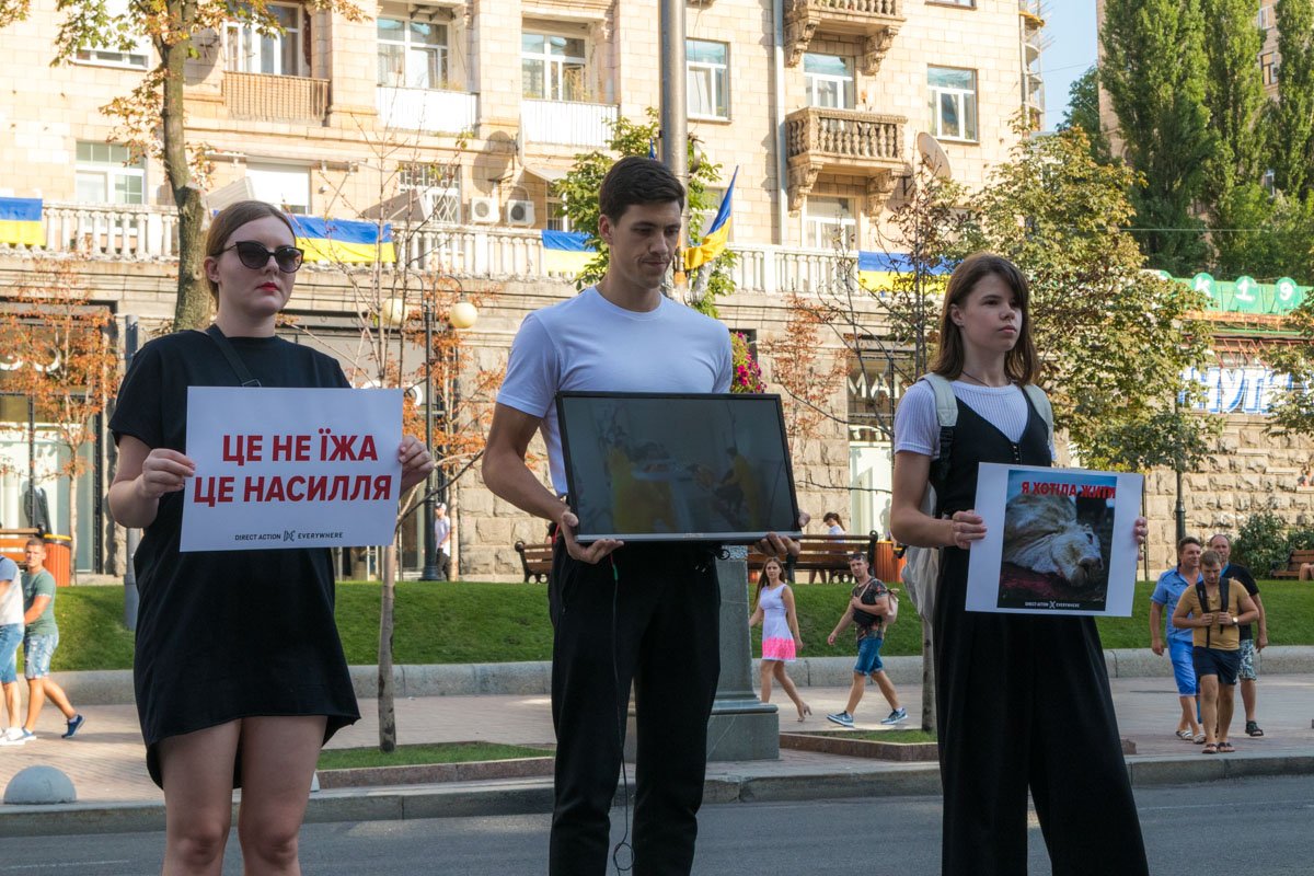 Видовизм отстаивает точку зрения, что ко всем животным на планете следует относиться одинаково Видовизм отстаивает точку зрения, что ко всем животным на планете следует относиться одинаково