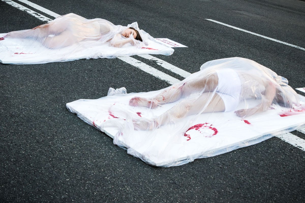 Таким образом украинцы показали, что готовы бороться за права животных Таким образом украинцы показали, что готовы бороться за права животных