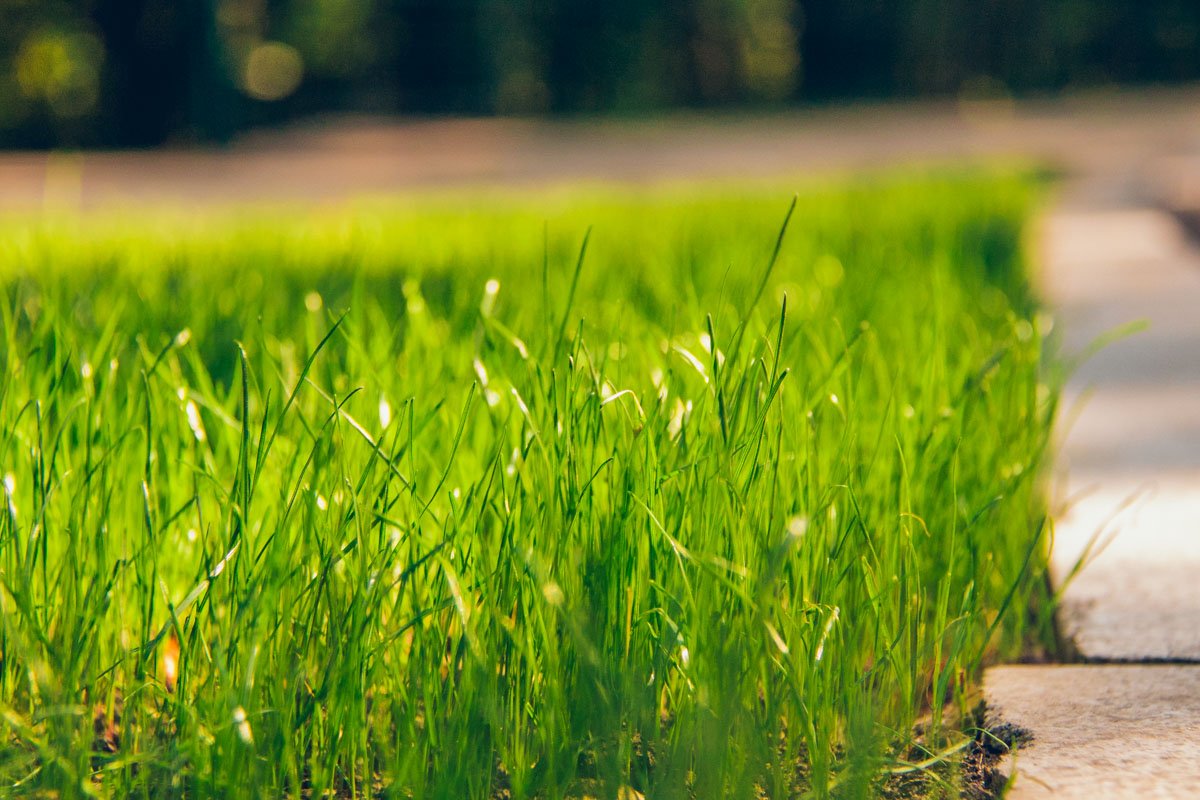 Информатор решил также посмотреть на результат капитального ремонта Информатор решил также посмотреть на результат капитального ремонта