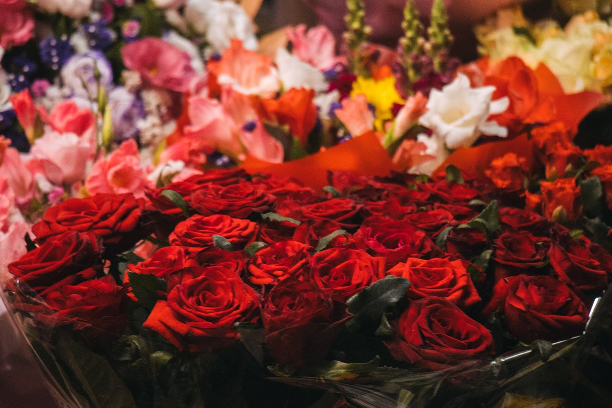 Вот такие вот розы сегодня не принесут учителям