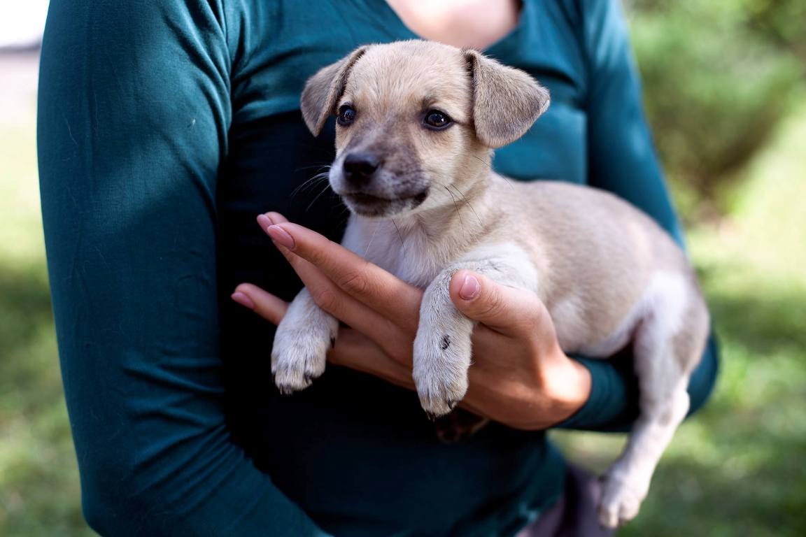 Красотуля Сью готова к приключениям Красотуля Сью готова к приключениям