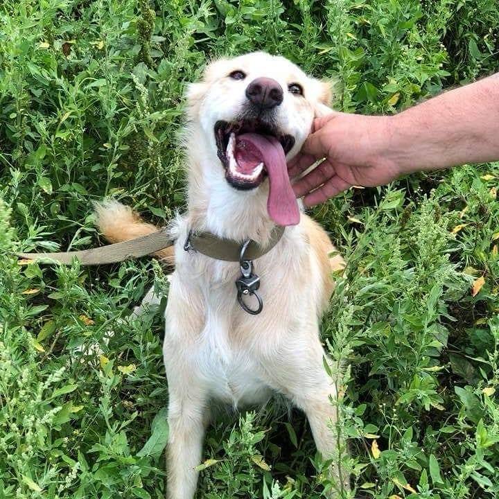 Бэтти станет лучиком солнышка в серых буднях Бэтти станет лучиком солнышка в серых буднях